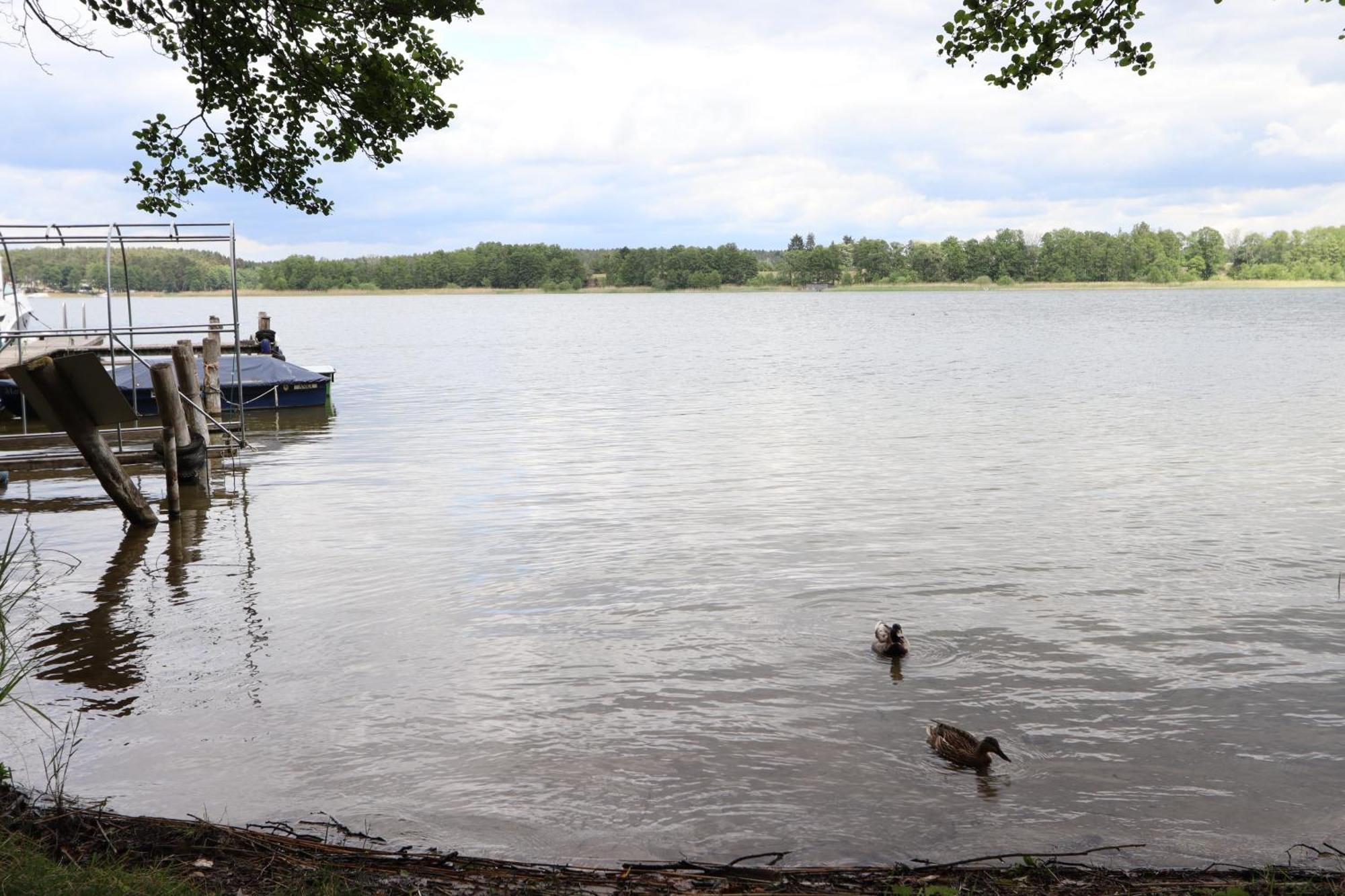 Ferienwohnung Amsel Rheinsberg Esterno foto
